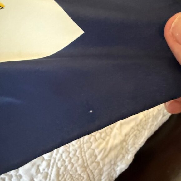 Hermes Paris Silk Scarf of Medallions and Tassels - Picture 5 of 6